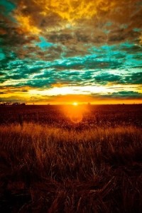 A Prairie Summer Autumn