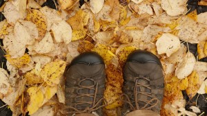 Damp Feet Damp Earth