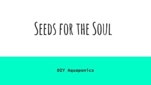 Seeds for the Soul 2- Aquaponics